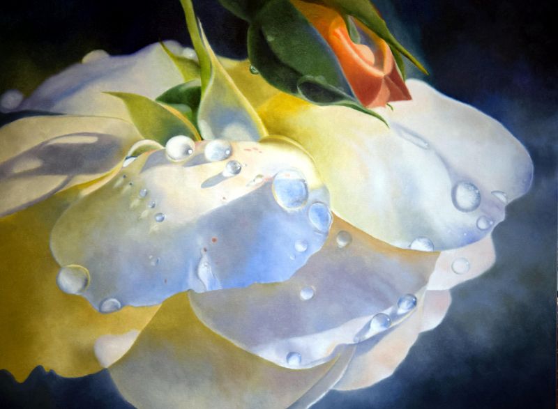Après la pluie, huile de Denise Bérard, artiste peintre : rose crème et bouton orangé perlés de gouttes d'eau