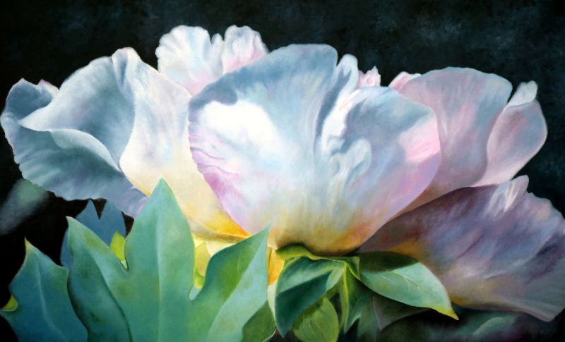 Œuvre florale de Denise Bérard, artiste peintre : grande fleur pâle éclairée sur fond sombre, feuillage vert