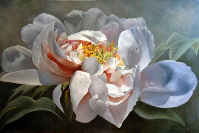 Après la pluie 2, huile de Denise Bérard, artiste peintre : pivoine blanche et rosée couverte de gouttes d'eau