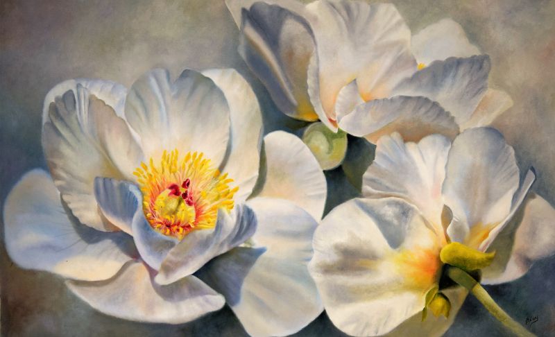 Les trois sœurs, huile de Denise Bérard, artiste peintre : trois fleurs blanches aux cœurs jaunes